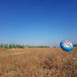 האיש ​ המוזר