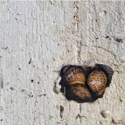 החלקיק האלוהי